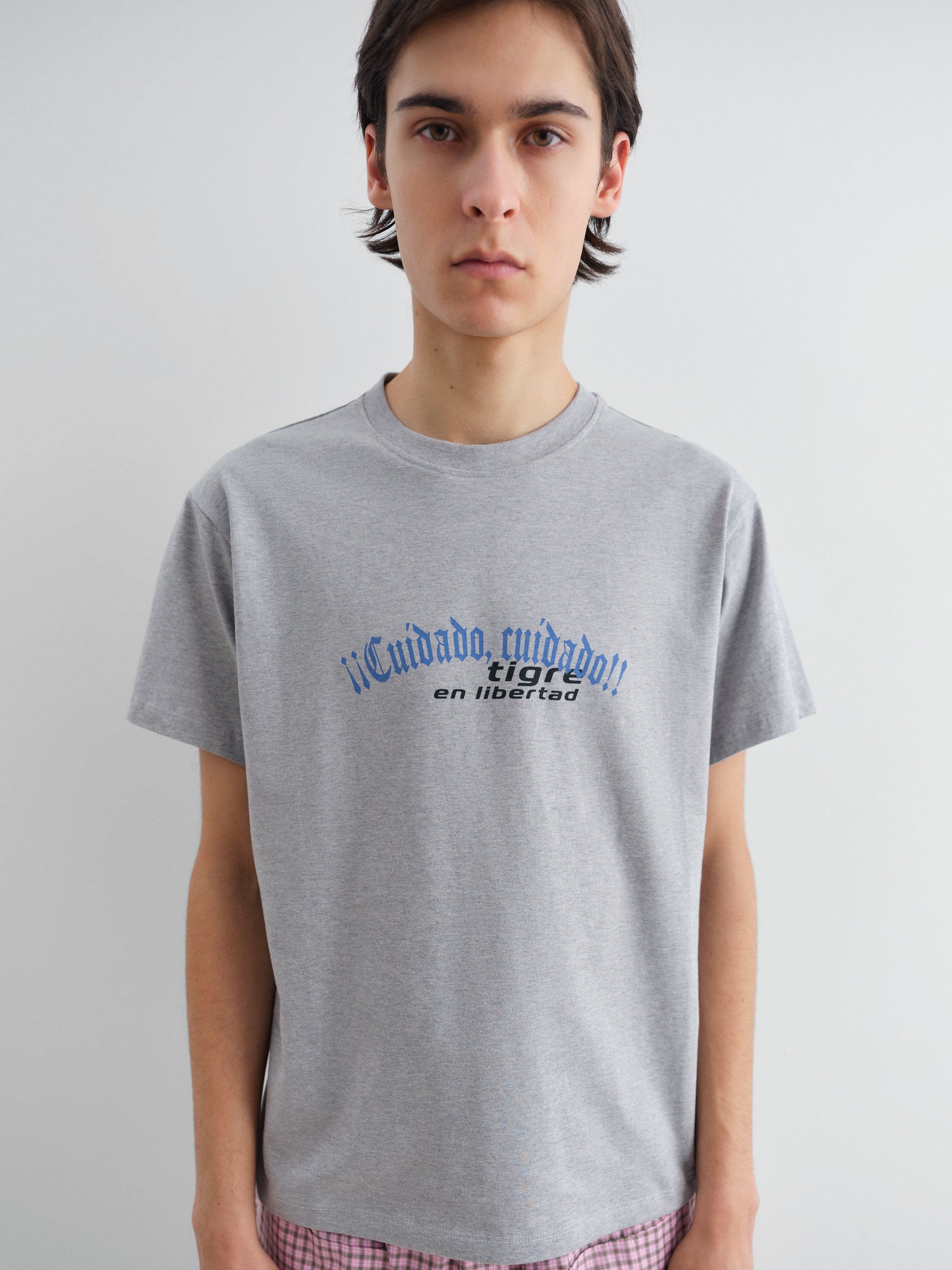 Unisex grey short-sleeve t-shirt with tiger graphic – Gimaguas